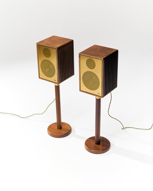 Pair of wooden speakers on stands with a white background